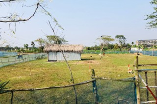 land for sale in  Mohammadpur,  Khulna, BDT 6200000