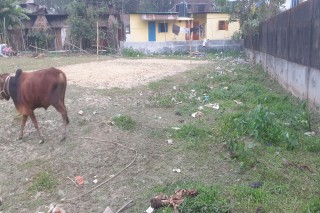 land for sale in  Keranigonj,  Sylhet, BDT 0